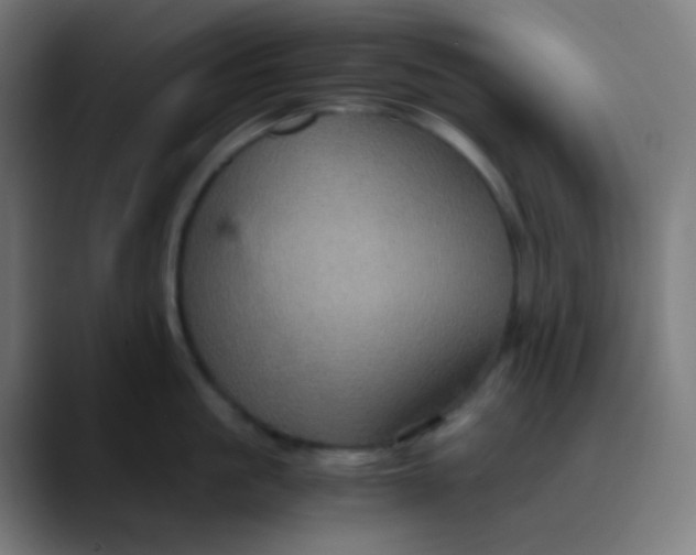 X0000089730861200707121448