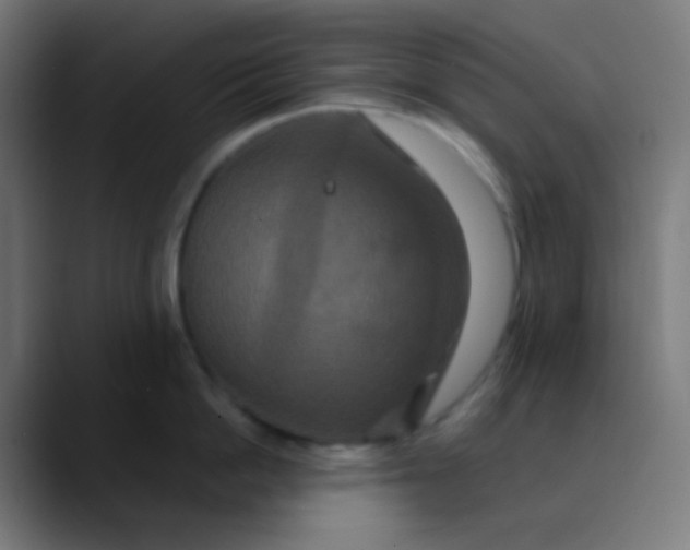 X0000089730862200707121448