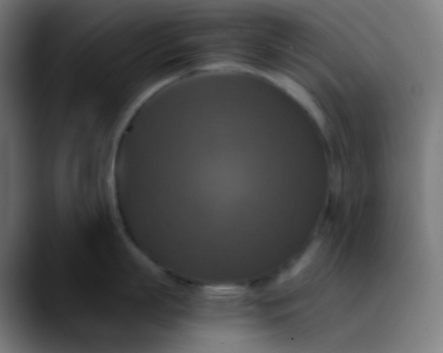 X0000089730863200707121448