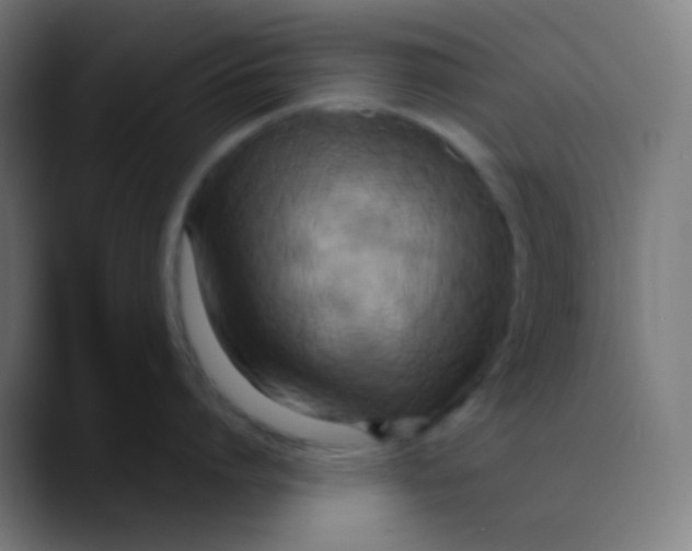 X0000089730864200707121448