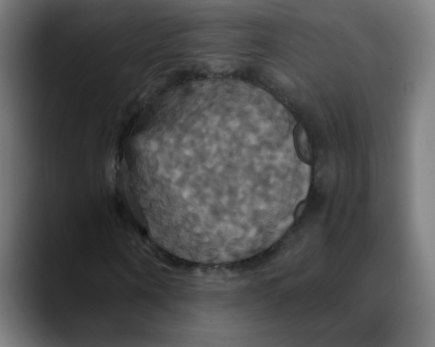 X0000089730866200707121447