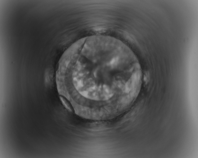 X0000089730867200707121447