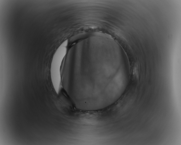 X0000089730868200707121447