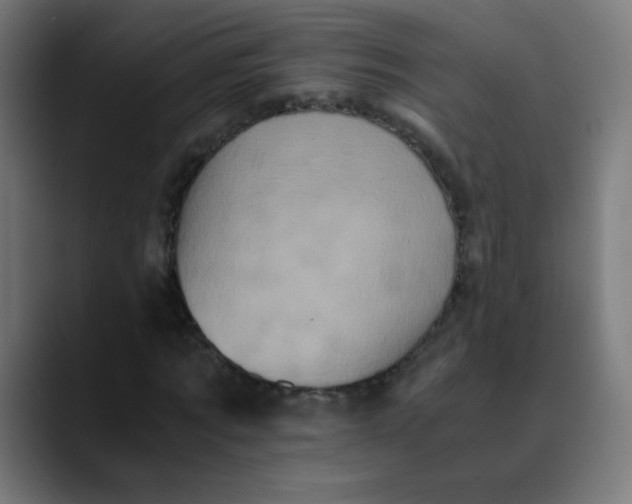 X0000089730869200707121447