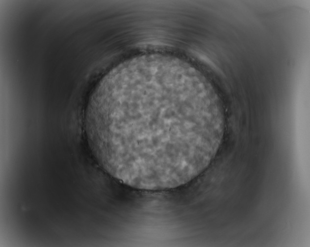 X0000089730870200707121447
