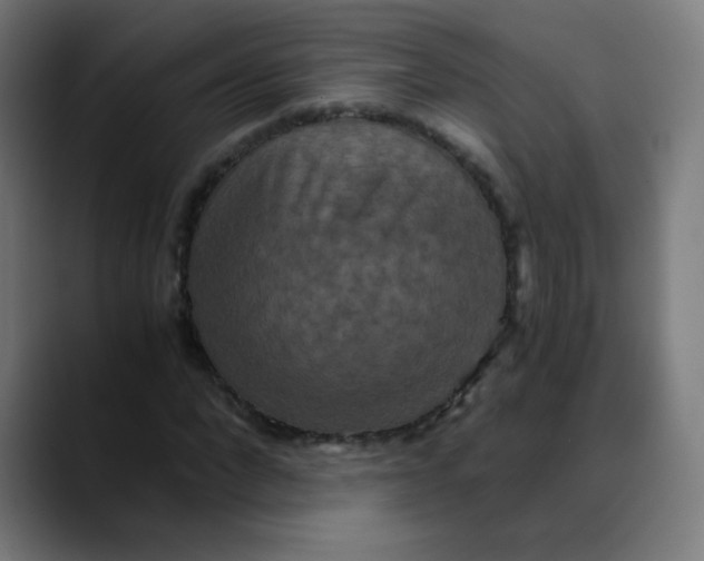 X0000089730872200707121447
