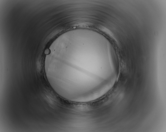X0000089730874200707121447