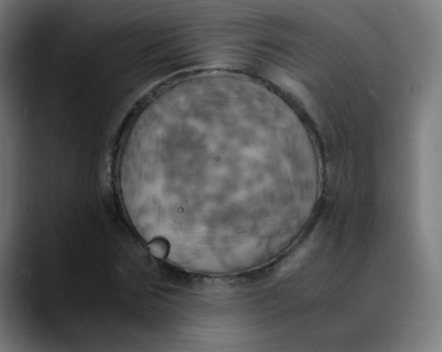 X0000089730875200707121447