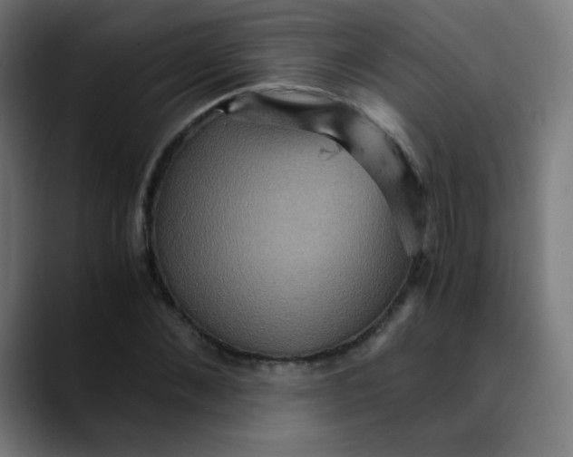 X0000089730876200707121447
