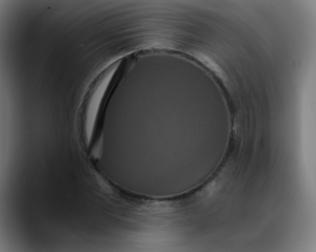 X0000089730877200707121447