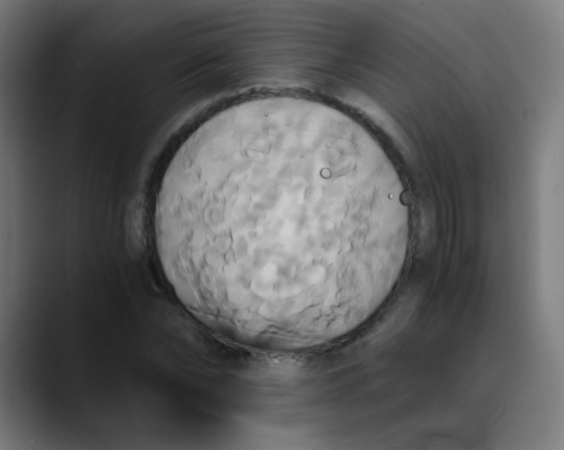 X0000089730878200707121447