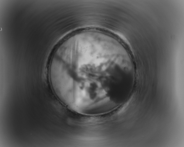 X0000089730879200707121447