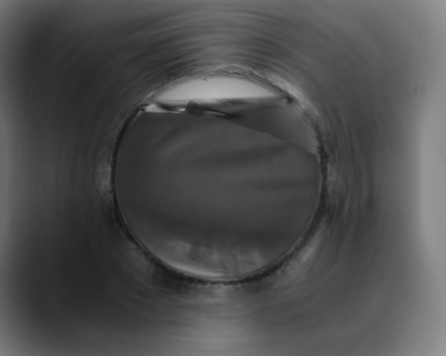 X0000089730881200707121447