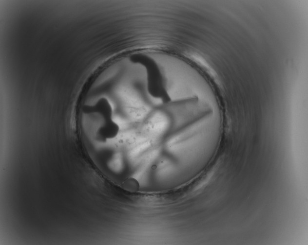 X0000089730883200707121447