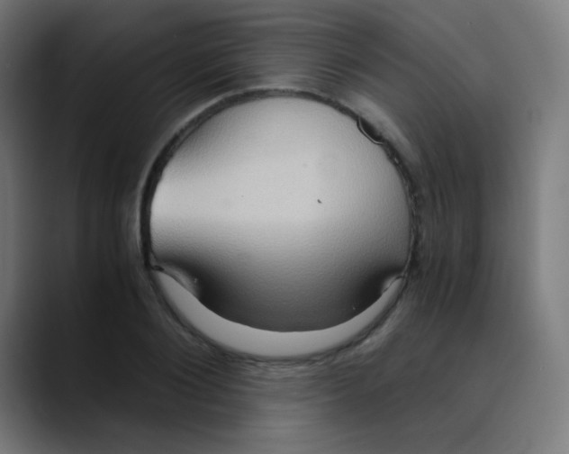 X0000089730884200707121447