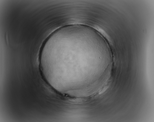 X0000089730885200707121447