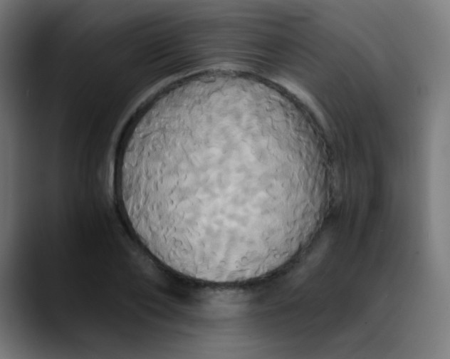 X0000089730886200707121447
