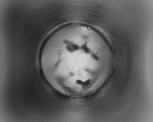 X0000089730887200707121447