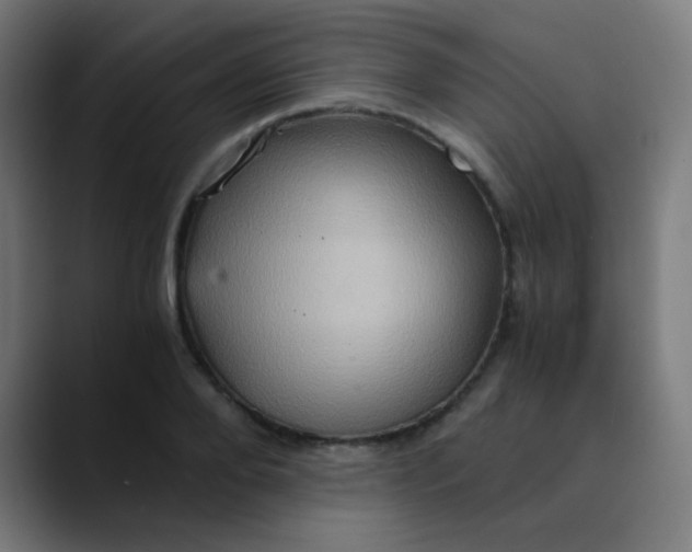 X0000089730888200707121447