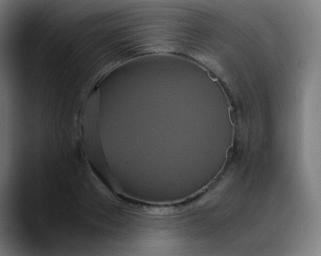 X0000089730889200707121447