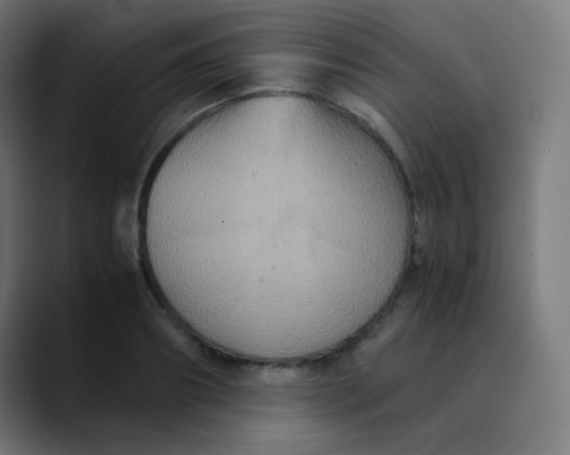 X0000089730890200707121447