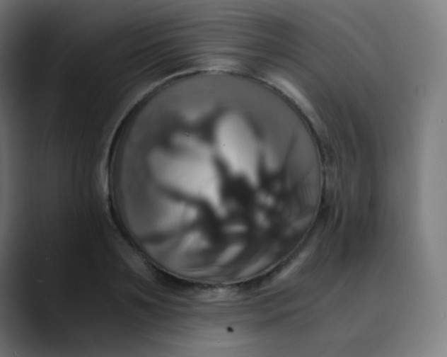 X0000089730891200707121447