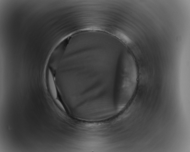 X0000089730892200707121447