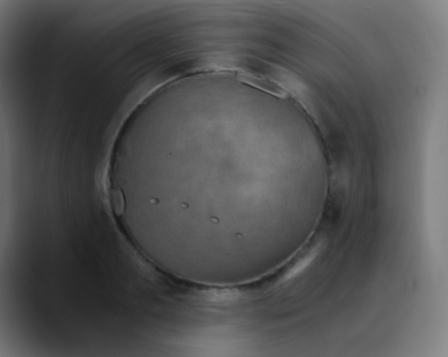 X0000089730893200707121447