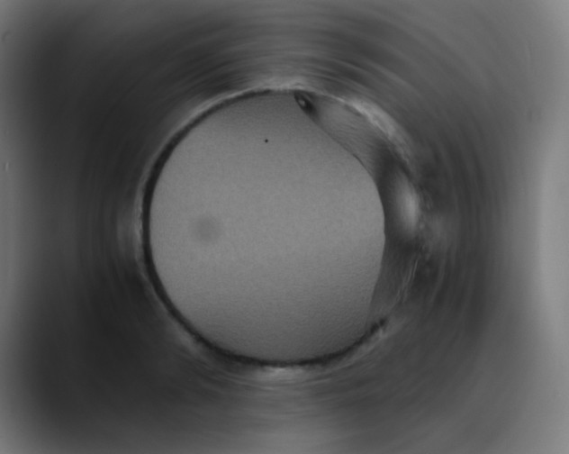 X0000089730894200707121447