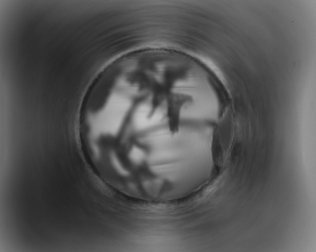 X0000089730895200707121447