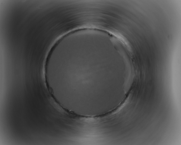 X0000089730896200707121447