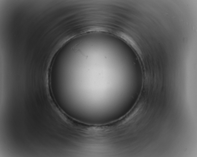 X0000089730898200707121447