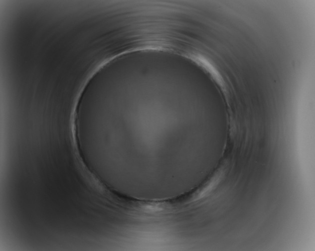X0000089730899200707121447
