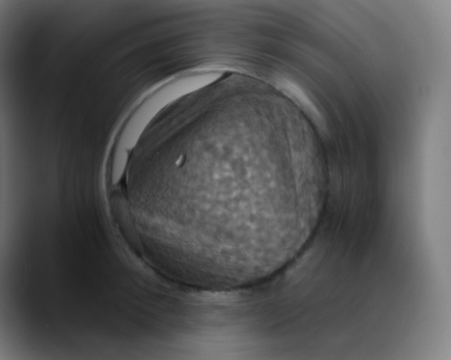 X0000089730900200707121447