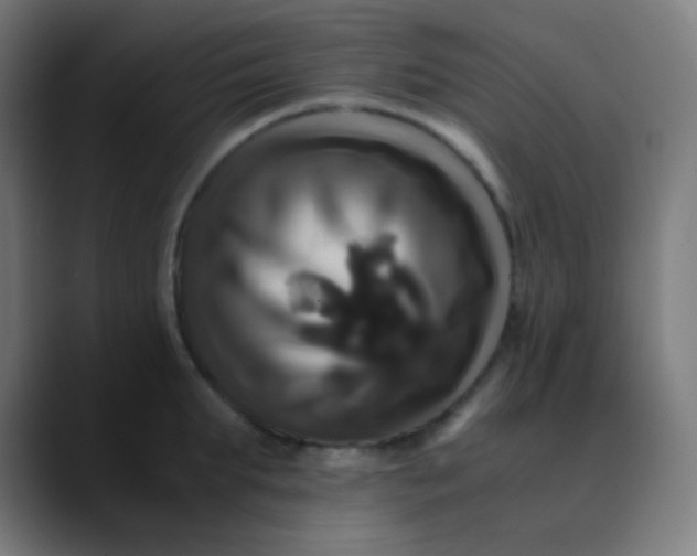 X0000089730903200707121447