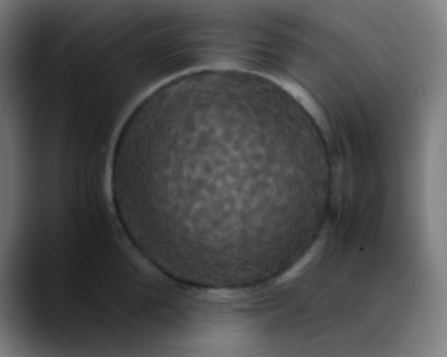 X0000089730904200707121447