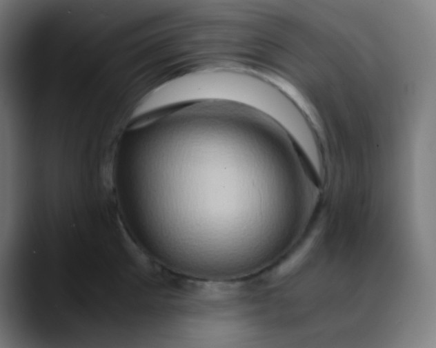 X0000089730905200707121447