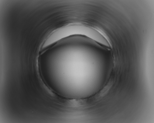 X0000089730906200707121447