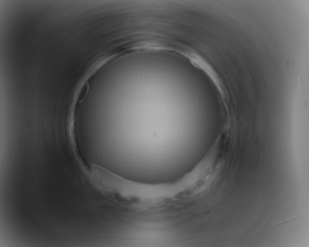 X0000089730909200707121447