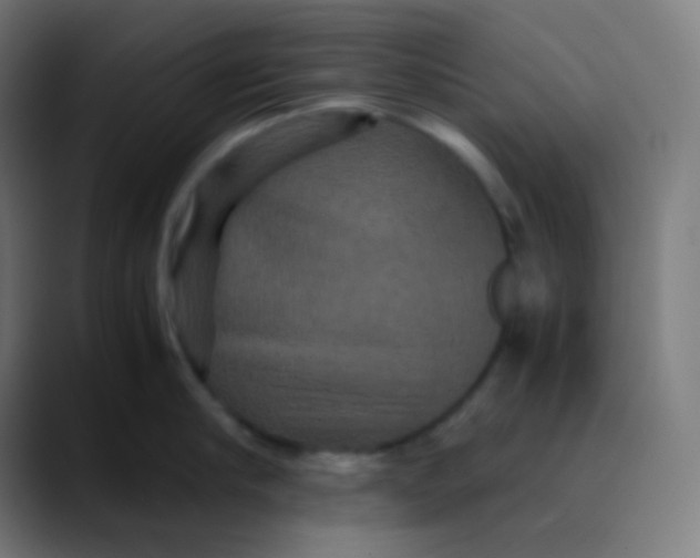 X0000089730910200707121447