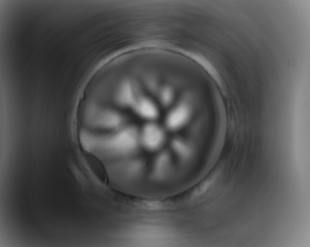 X0000089730911200707121447