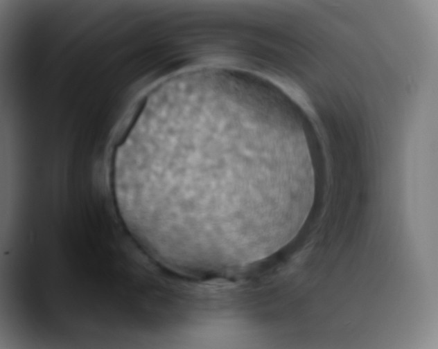 X0000089730912200707121447
