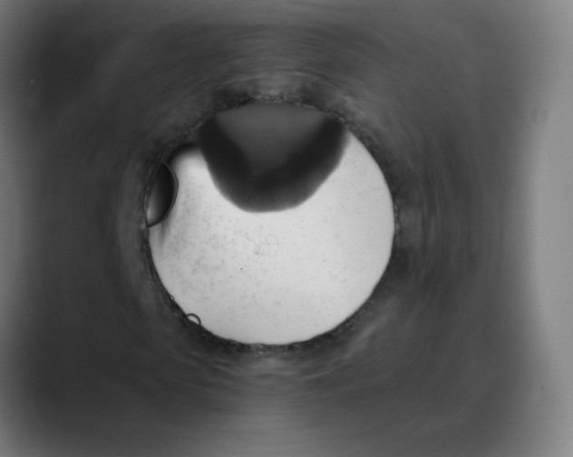 X0000089730913200707121446