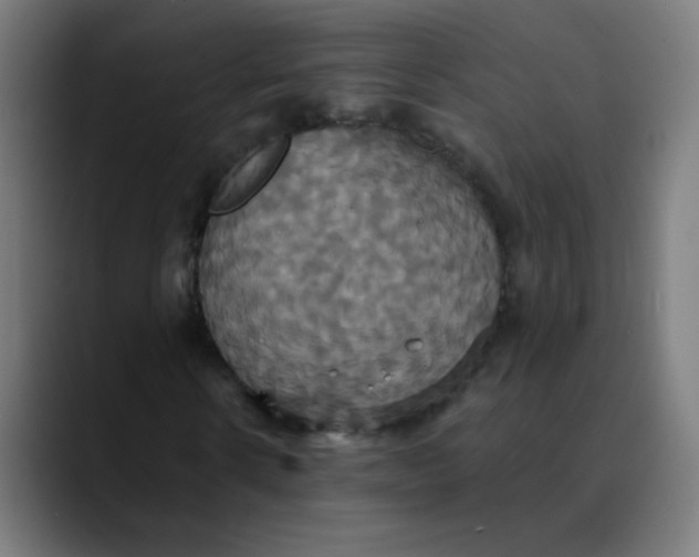 X0000089730914200707121446