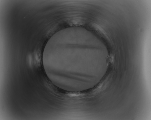X0000089730915200707121446