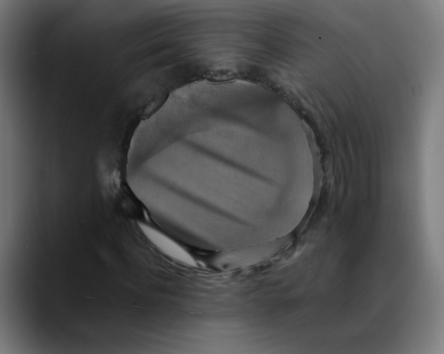 X0000089730916200707121446