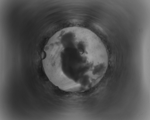X0000089730917200707121446