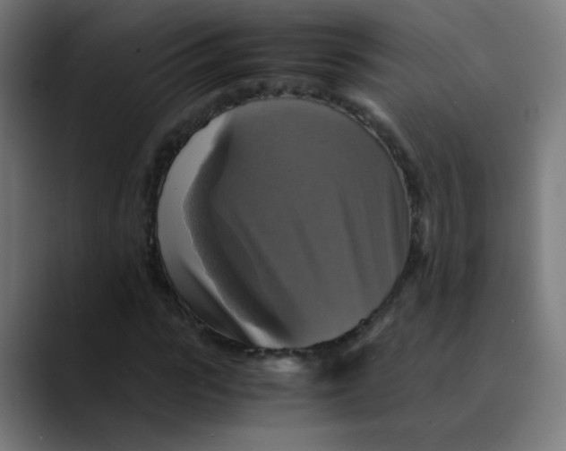 X0000089730919200707121446