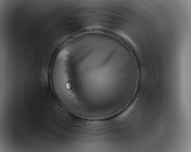X0000089730921200707121446