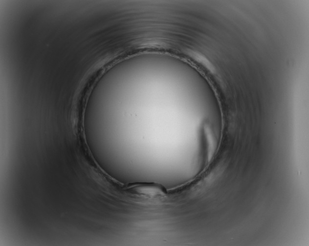 X0000089730922200707121446
